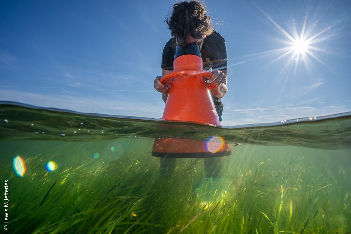 DYK Scottish #seas are crucial in tackling #climatechange, storing more carbon than all our forests & soils combined? 

Restoring & protecting our seas is a key part of #climateaction 🌊🌎

#RestorationForth #MarineWeek #GenerationRestoration
📸©Lewis Jeffries @lewismjefferies