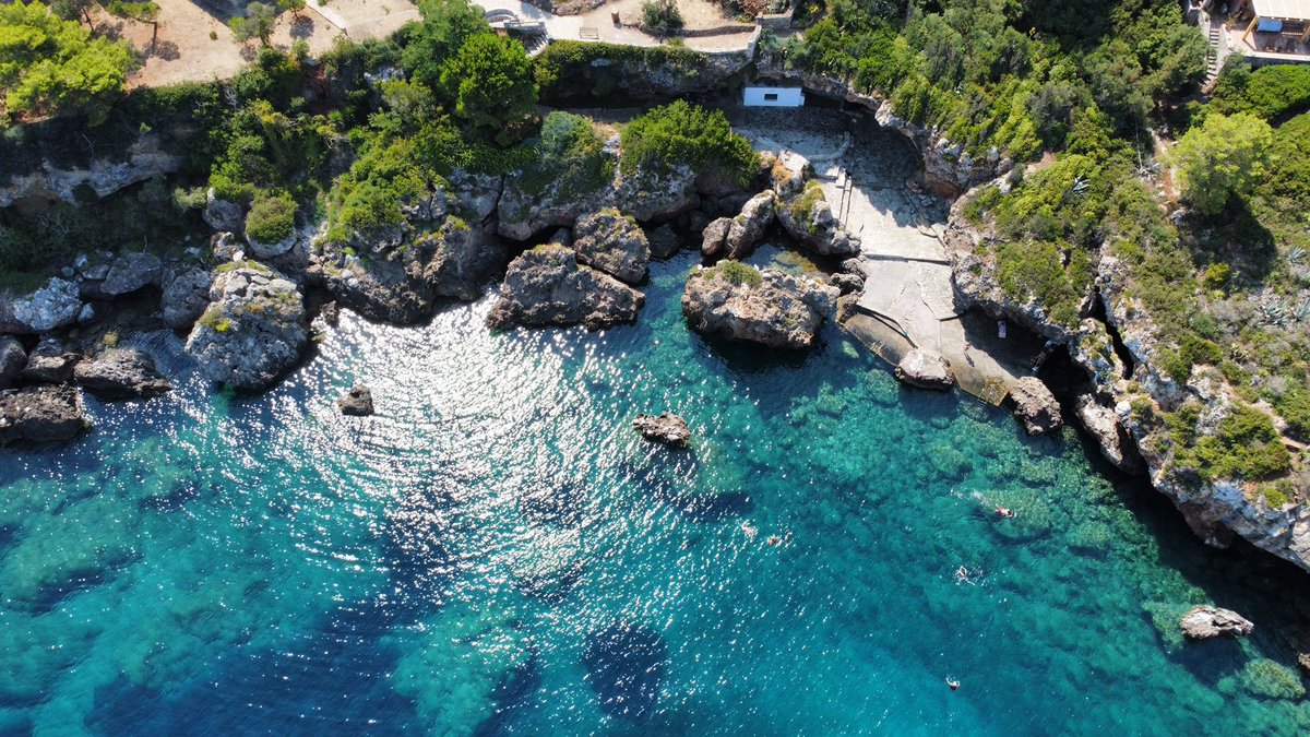 SpiroA's tweet image. Good morning! #dji @DJIGlobal