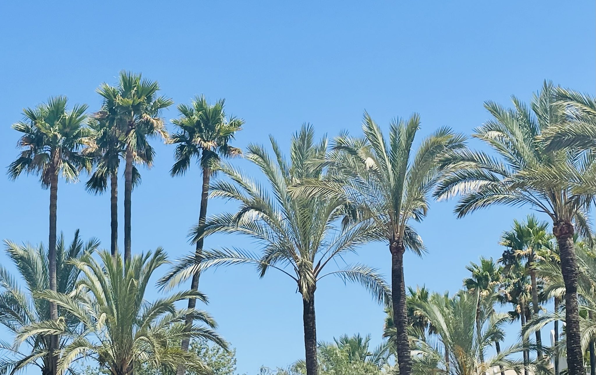 Teacher with Cancer on Twitter: 