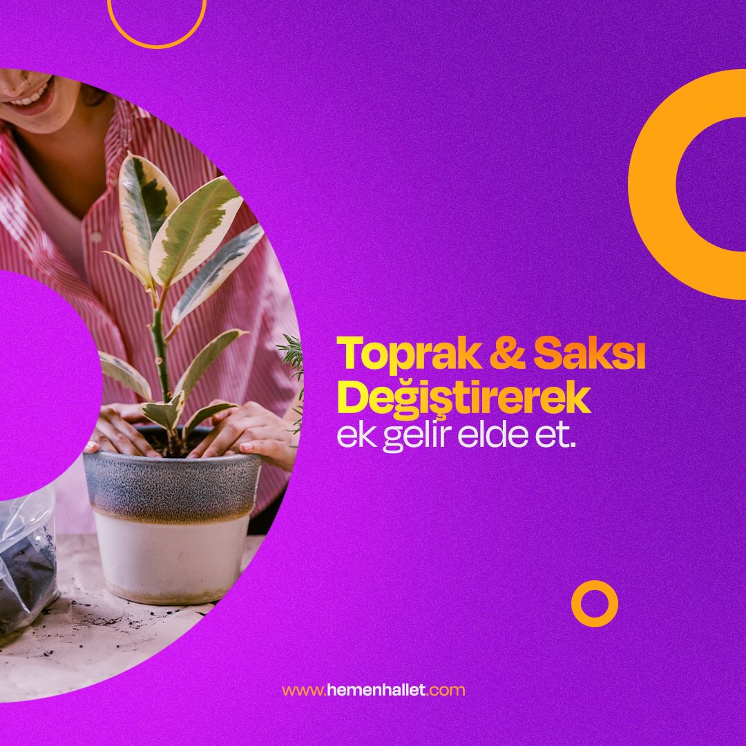 Toprak &amp; saksı değişimi yaparak ek gelir elde edebilirsin!

Toprak &amp; saksı değişimine ihtiyacı olan kişilerin sana ulaşmasını sağla hemen kazan!

#çiçek #toprak #saksı #ekgelir #hemenhallet