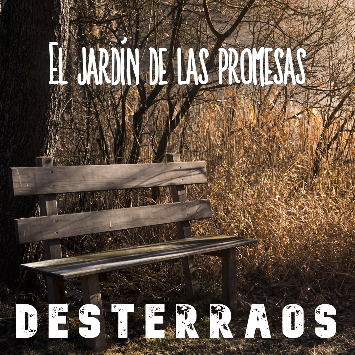 Día 28 -> El jardín de las promesas

#rock #eljardindelaspromesas #desterraos #Extremadura