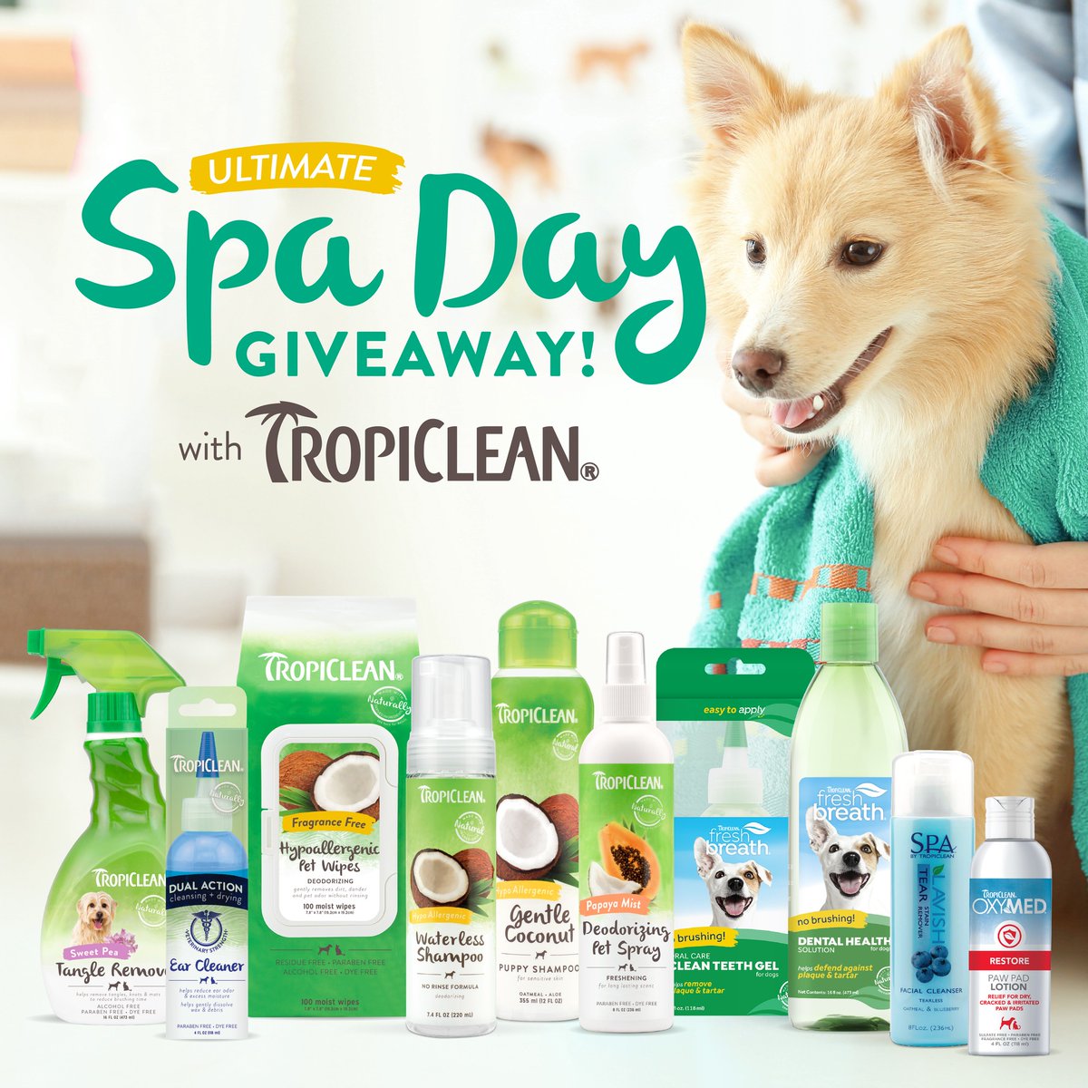 GIVEAWAY TIME 🤩

Looking for the ultimate way to pamper your pet? <a href="/tropiclean/">TropiClean Pet</a> has the perfect spa day giveaway equipped with everything you need to create a salon experience at home.

ENTER TO WIN: dog-fest.co.uk/news/detail/wi…