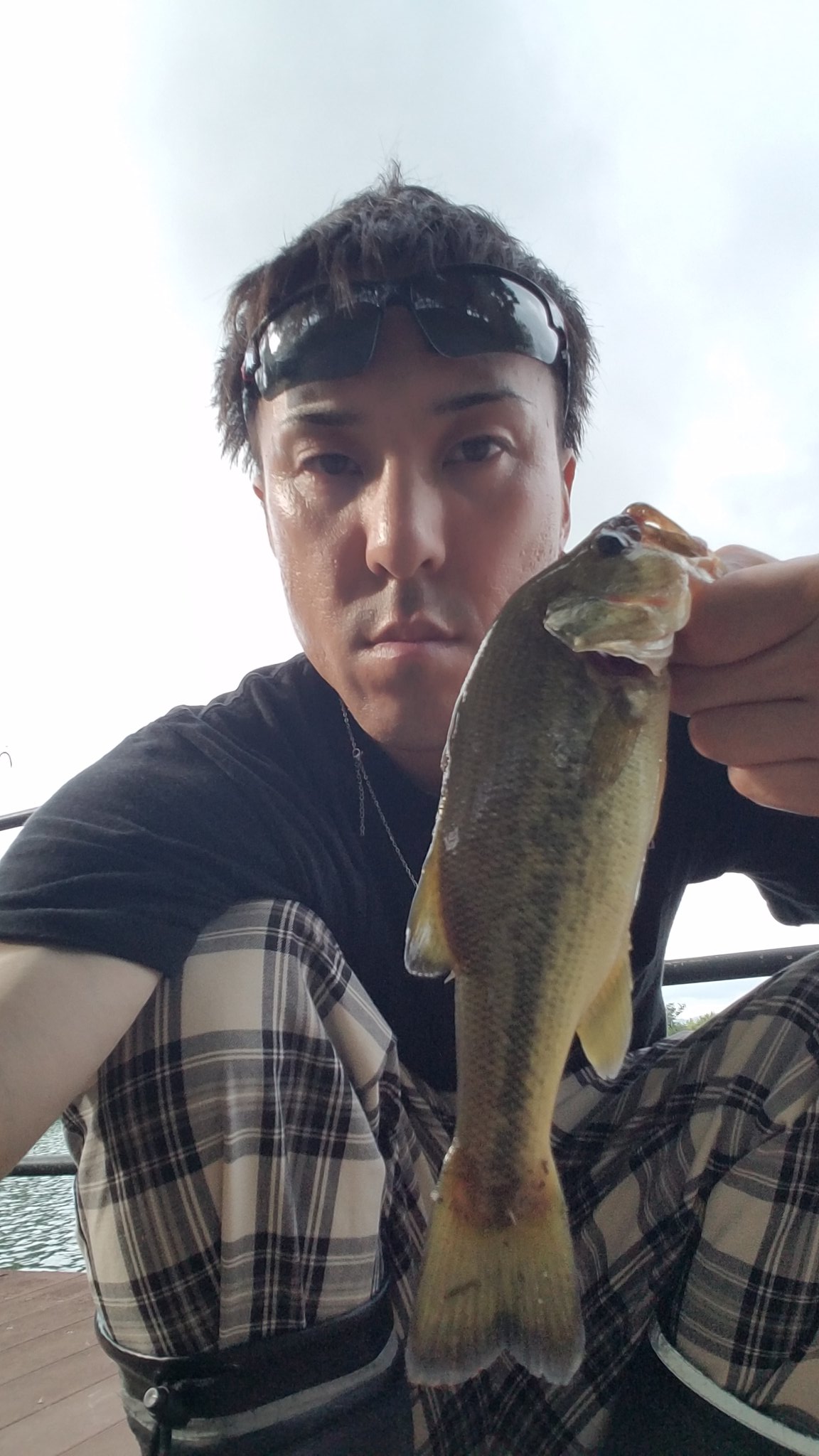 うっち Uchiyamatomoya Twitter