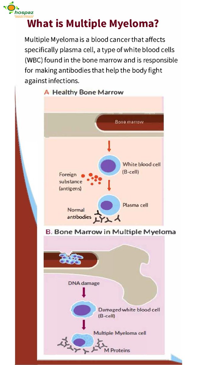 This week we are going to focus on #MultipleMyeloma #MultipleMyelomaAwareness with funding from #BristolMyersSquibbFoundation @bmsnews @Hospaz will show how critical #PalliativeCare is for patients and how best we can improve their quality of life. 
@zichire @JointedHands #MMA