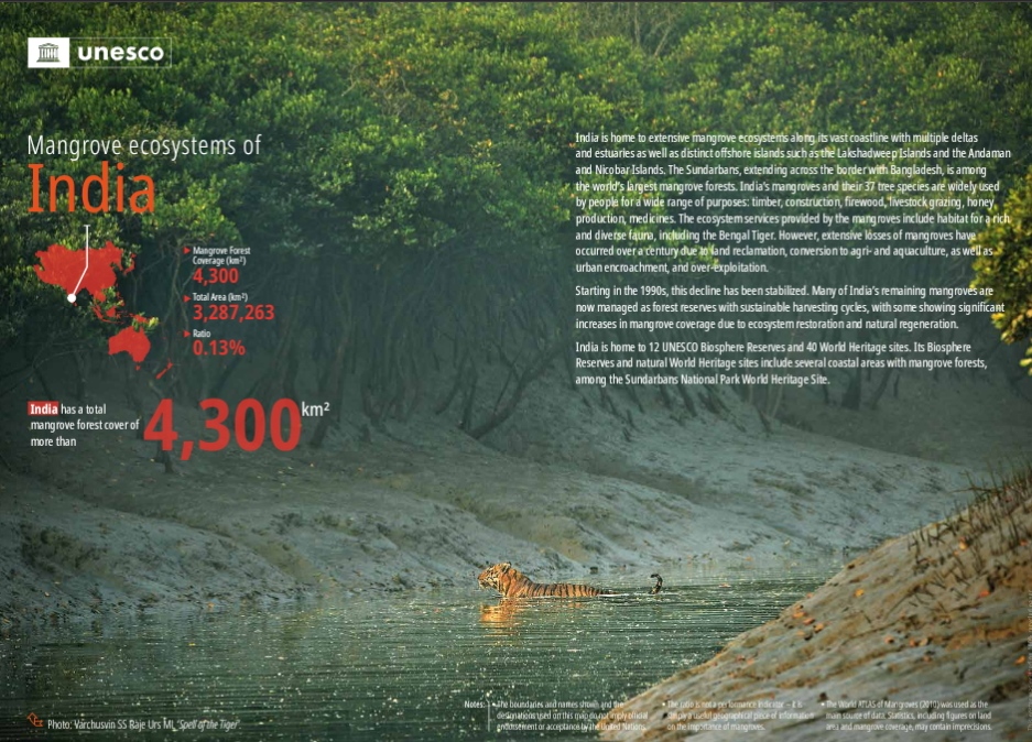 gamma_mu's tweet photo. #InternationalMangroveEcosystemDay, July 26, 2022, urges us to protect #mangroveforests in light of #climatechange. #Environmental initiatives at MGC support these #ecosystems
#sustainabledevelopment #action #sdg #conservation
#mangroveconservation #mangroveecosystem https://t.co/ghKL58phS4