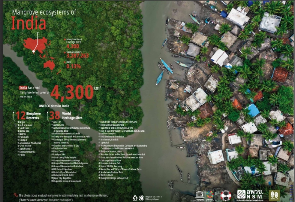 gamma_mu's tweet photo. #InternationalMangroveEcosystemDay, July 26, 2022, urges us to protect #mangroveforests in light of #climatechange. #Environmental initiatives at MGC support these #ecosystems
#sustainabledevelopment #action #sdg #conservation
#mangroveconservation #mangroveecosystem https://t.co/ghKL58phS4