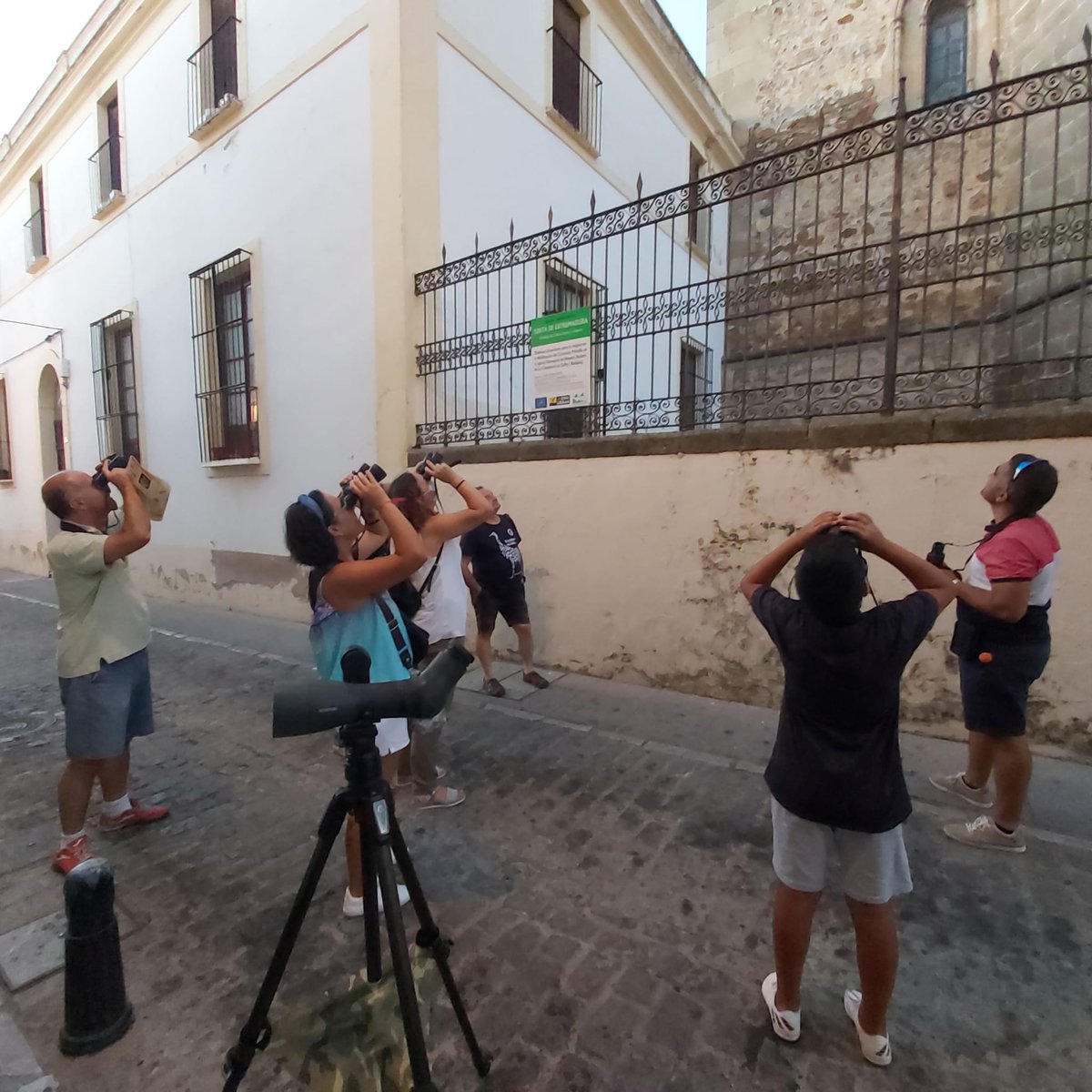 Rutas #UrbanBirding (30 y 31 de julio)
Cáceres: sábado | 09:00-11:00
Plasencia: domingo | 09:00-11:00
Trujillo: sábado | 19:30-21:30
Zafra: sábado | 19:30-21:30
Jerez: sábado | 09:00-11:00
Organizadas por @Extremadura_tur, son gratuitas y combinan patrimonio y observación de aves
