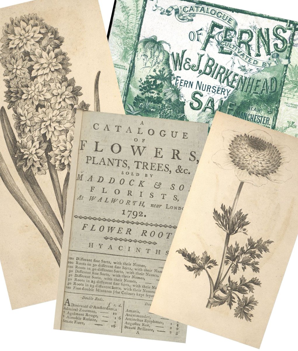 Royal Horticultural Society Libraries tweet media