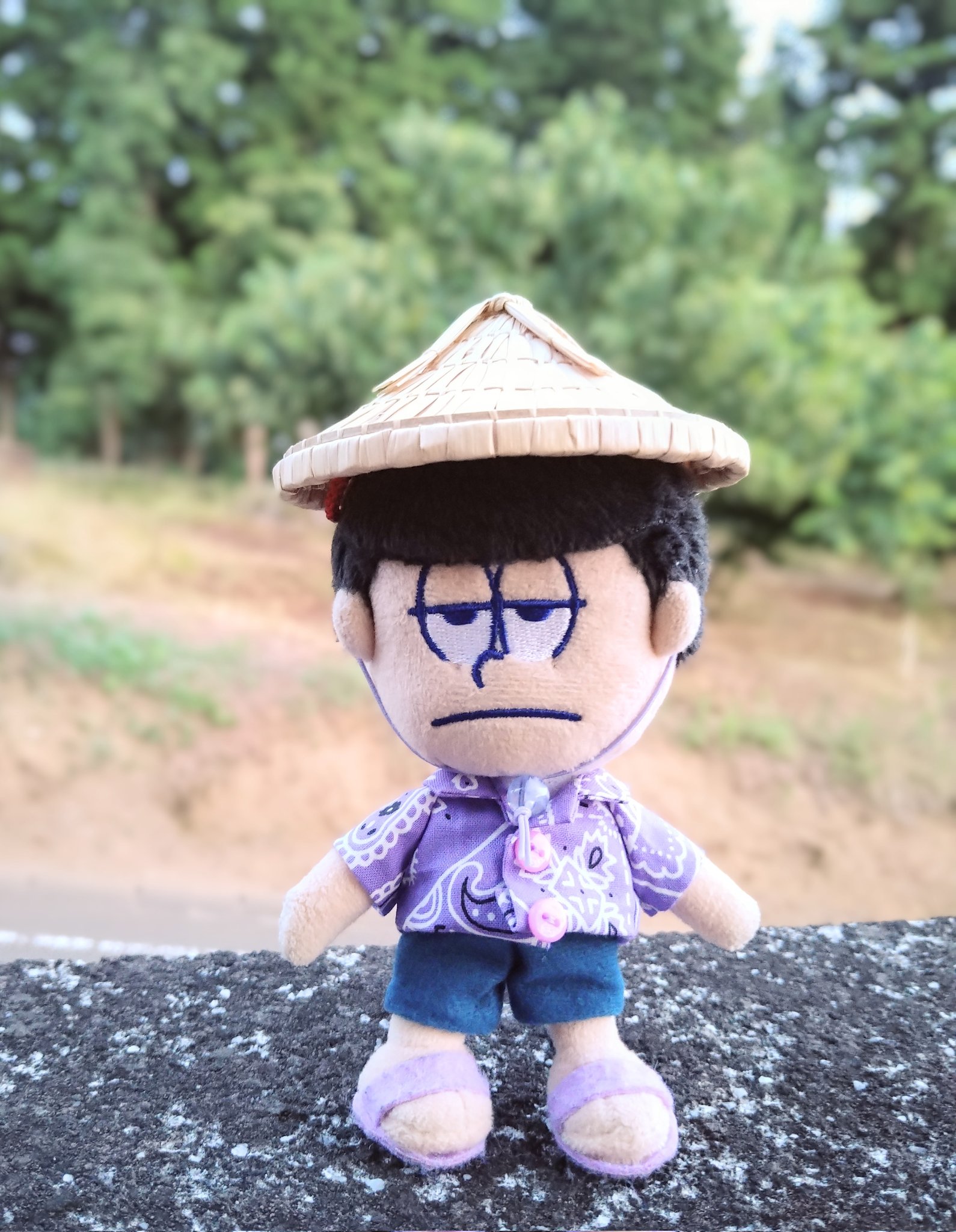 まつりもりこ Rt Yamineko102 ちっちゃいスゲ笠を見つけたので注文してみた 若干小さい気もするけど許容範囲 頭が当たる部分にはちゃんとあて布もついてる あご紐はついてなかったので自分でつけたよ T Co Cq2nafwpys Twitter