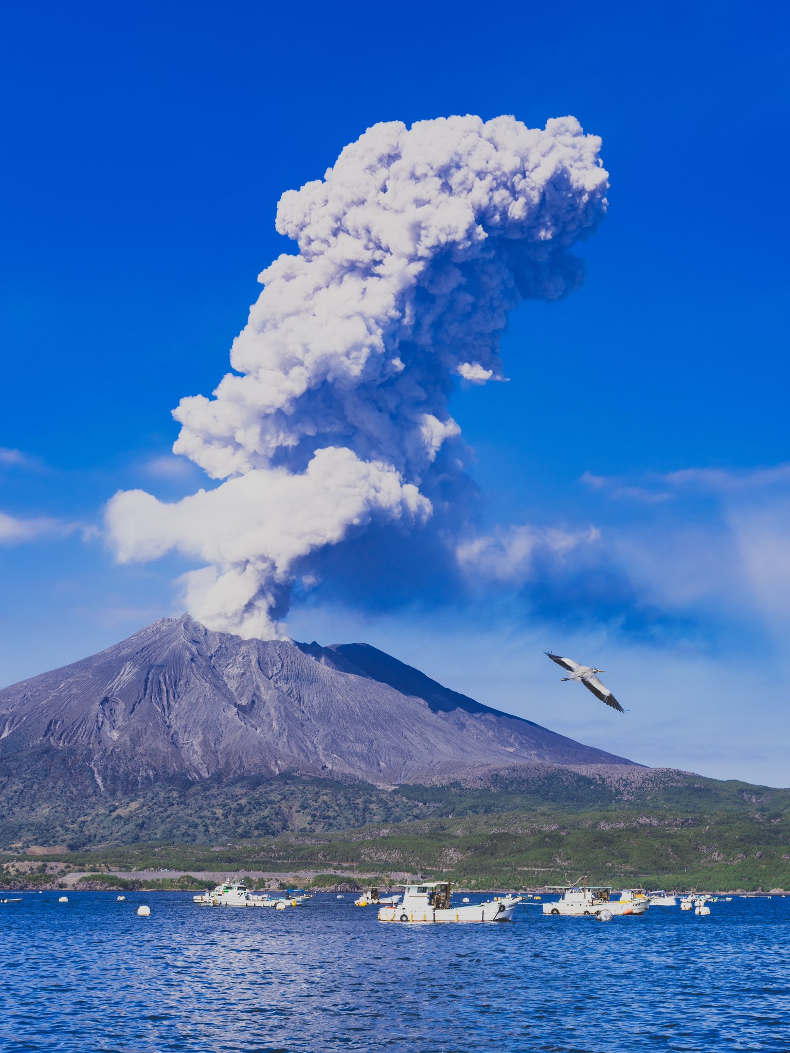 フォトナビ鹿児島 Al Twitter 人と自然 火山が共生する風景 垂水市の海潟漁港より撮影 県外の方には驚かれることも多いですが 桜島の噴火は 近辺に住む人々の生活の一部 自然のダイナミズムを感じる暮らしは 唯一無二のもの 恐れるだけでなく これまでに