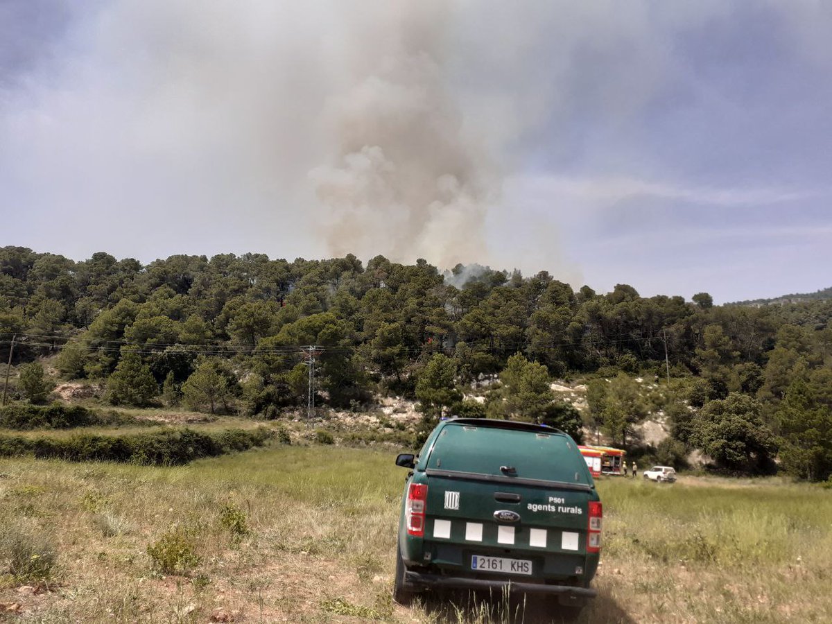 Generalitat de Catalunya tweet media