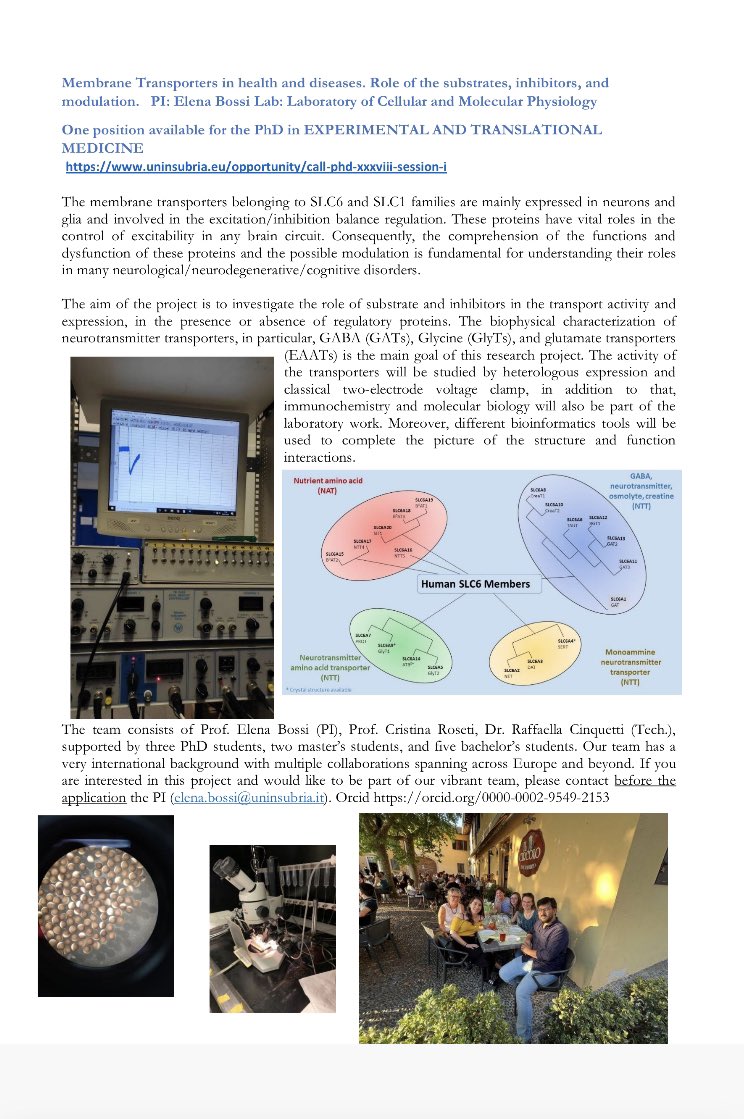 I’m looking for a new PhD student uninsubria.eu/opportunity/ca…