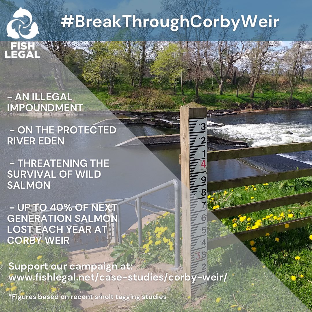 74% of rivers in England are now ‘at risk’ meaning salmon stocks are no longer at sustainable levels according to latest assessment [gov.uk/government/pub…] Time for the EA to take action to give salmon a fighting chance on the River Eden #BreakThroughCorbyWeir <a href="/YFFC1884/">Yorkshire Flyfishers</a>