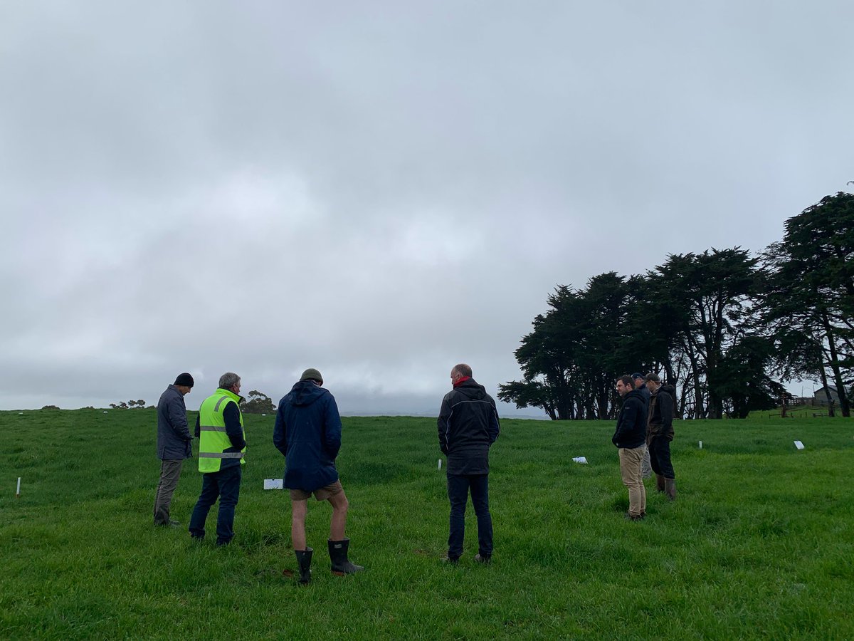 Rowan Smith tweet media