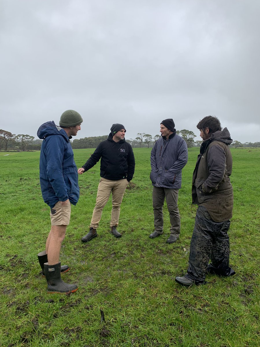 Rowan Smith tweet media