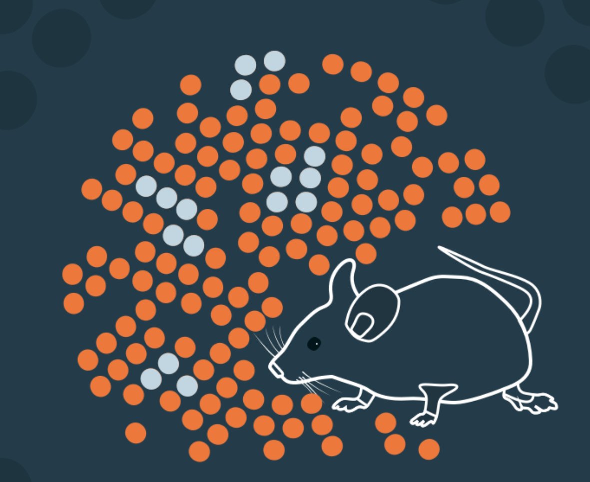 Animal Research Tomorrow tweet media