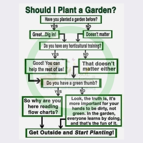 Are you thinking of starting a garden? Here is a flow chart to guide you through! 
#thesolfoundation #planting #planttrees #gardening #garden #startagarden #howtogarden #helpful #tips #plantingtrees #schoolgarden #schoolgardentrainings #summer #summervibes #flowers #zerohunger