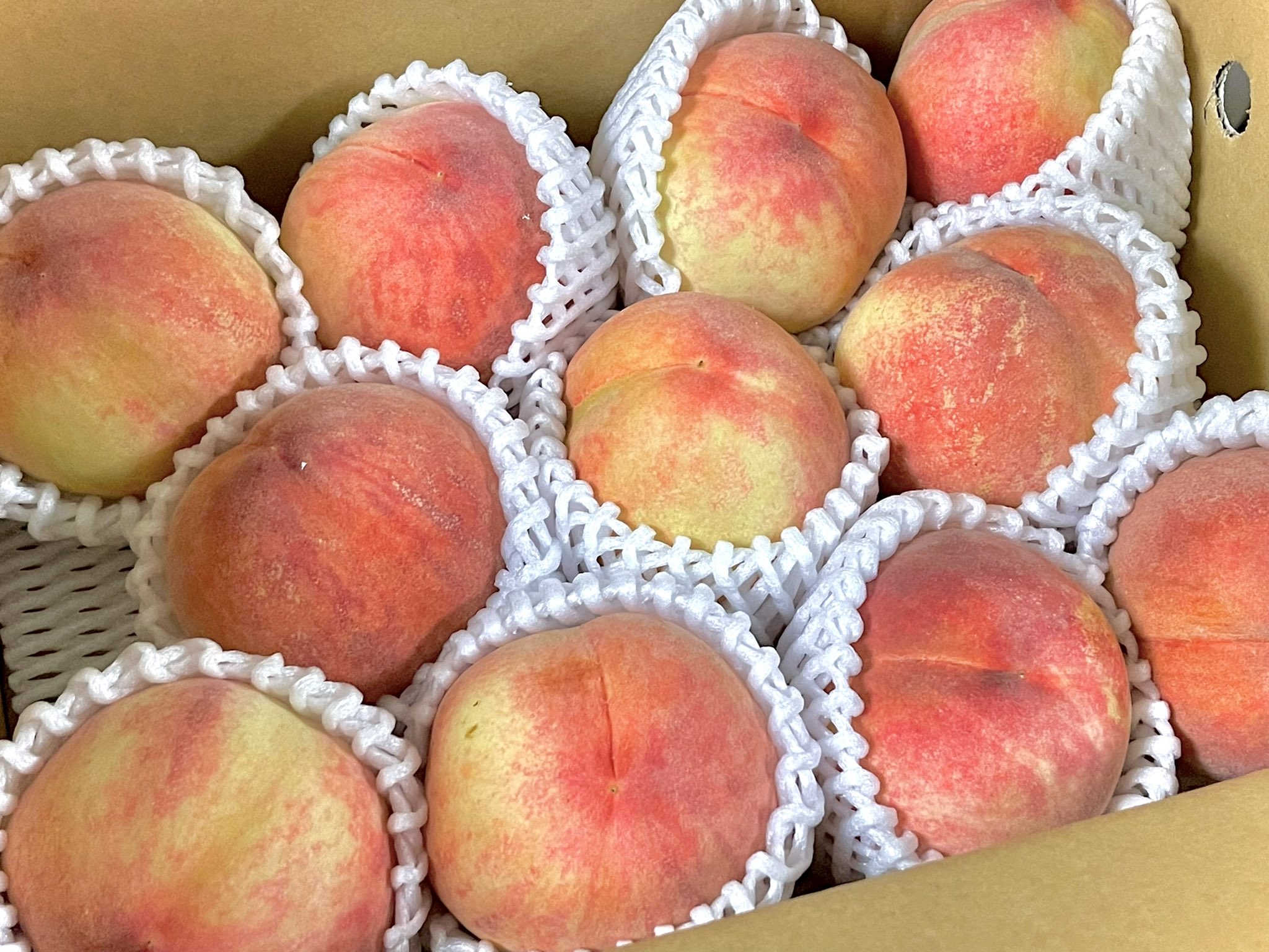 きだて たく 注文しといた硬い桃が今年も届いた しばらく桃食べ放題なので ショリショリ食いまくる 硬い桃最高 それにしても ミスピーチもも てなに と調べたら 透過式センサーで糖度測定したブランド桃ってことらしい へー T Co