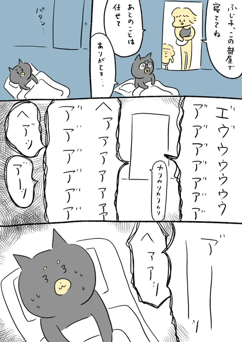 やっと熱が下がってきました 