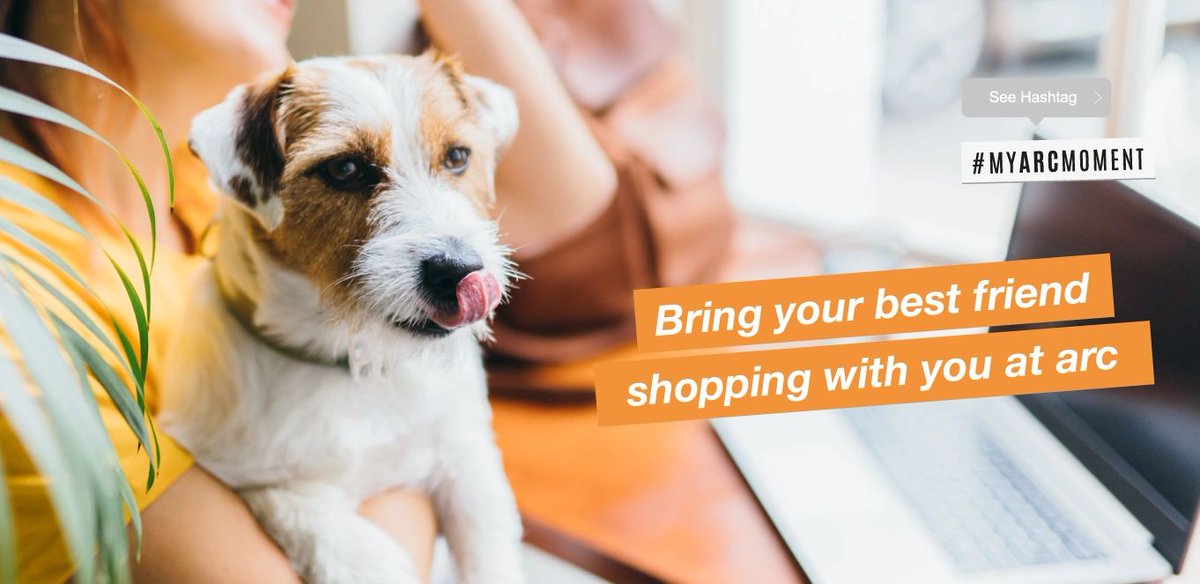 The ‘Dog-Friendly Bury St Edmunds’ project launched in the arc shopping centre in September 2018, and throughout the years, more and more shops in arc have declared themselves dog friendly. Does your local Shopping Centre welcome dogs?
barneyandpatch.co.uk/blog/f/does-yo…