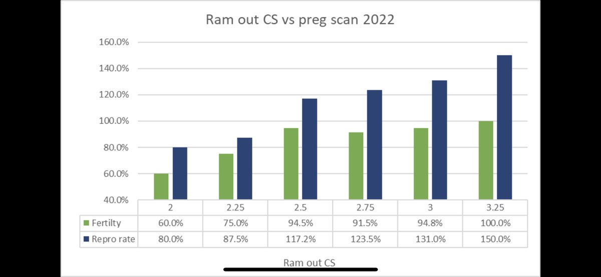MoorallaMerino's tweet image. @sheep_data_mgmt has done her magic again. Maiden joining data.  Great job Elise 🐑🐑 @Marni_Luhrs