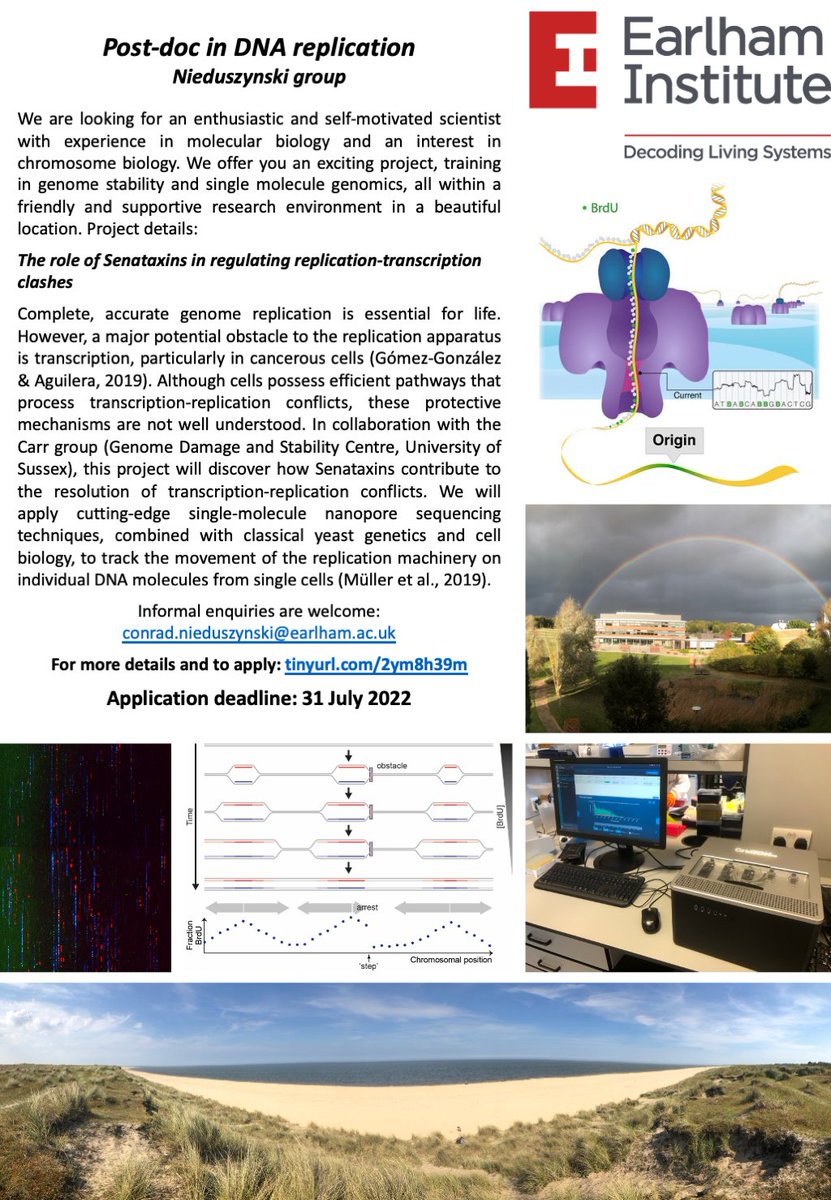 DNA Replication Lab tweet media