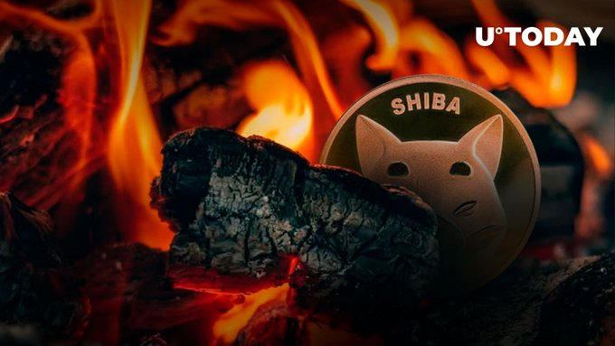 BanglesBnb's tweet image. JUST IN: Shiba Inu (SHIB) Burn Rate Continues 200% Rally Following #Crypto Card Release. #CryptoNews #Cryptocurrency #Crypto #BTC #BNB #ETH
