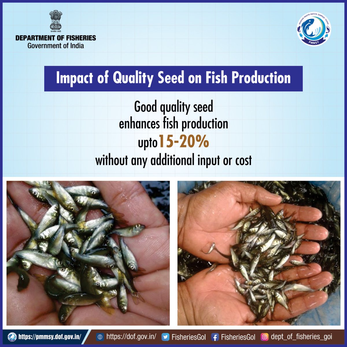 Quality fish seed is essential to enhance production. Technological inputs and better management of seed are crucial to increase survival level from spawn to fry to fingerling. 
#indianfisheries #qualityseed #productiongrowth #seedmanagement