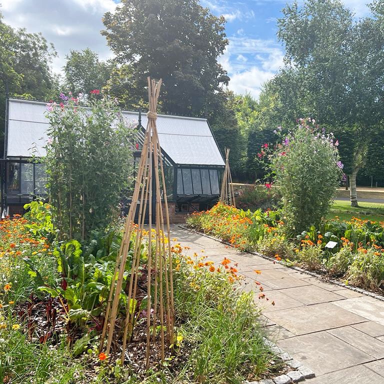 At @thekitchenatcg for the day in the cook school, love my kitchen garden!