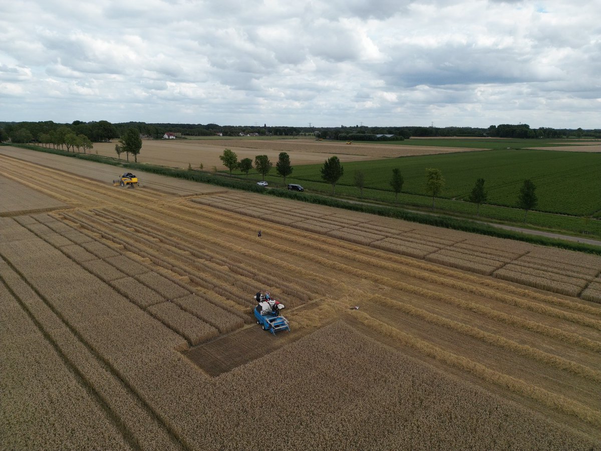 Holland Fyto tweet media