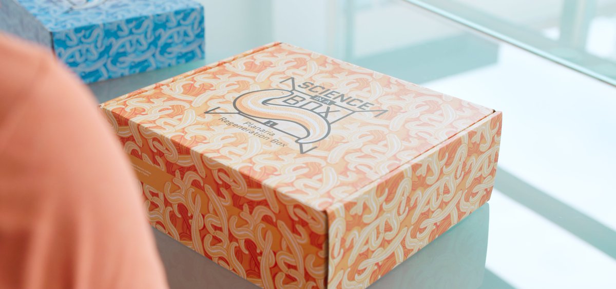 ‘Een biologiebox, die miste ik nog’ <a href="/StijnMouton/">Stijn Mouton</a> (<a href="/UMCG_ERIBA/">ERIBA</a>) vertelt hoe hij wetenschapscommunicatie in de praktijk brengt en wat de toekenning uit het pilotfonds @_Gewaardeerd voor hem en zijn collega’s heeft betekend. Bekijk de hele video via: youtu.be/T_xFwjMSUew

#wecom