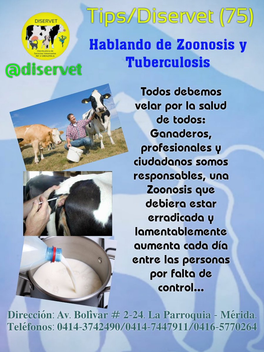 diservet01's tweet photo. 3️⃣Todos debemos velar por la salud de todos: Ganaderos, profesionales y ciudadanos somos responsables, una Zoonosis que debiera estar erradicada y lamentablemente aumenta cada día entre las personas por falta de control
@diservet #TipsDiservet #tuberculosis
#consultaveterinaria https://t.co/j4tsPkuoBx