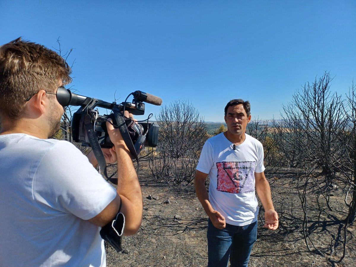martindeblas's tweet photo. @TiempodeToros en @LosLastrones
La ganadería que venció al fuego.
Sábado 30 julio @CMM_es 13,20h. https://t.co/rmFeWVuZpv