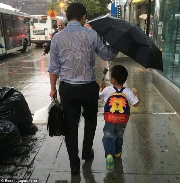 MdRizwan000's tweet photo. Always Respect parents

https://t.co/iATehw0RzG https://t.co/pgxxaALhtf