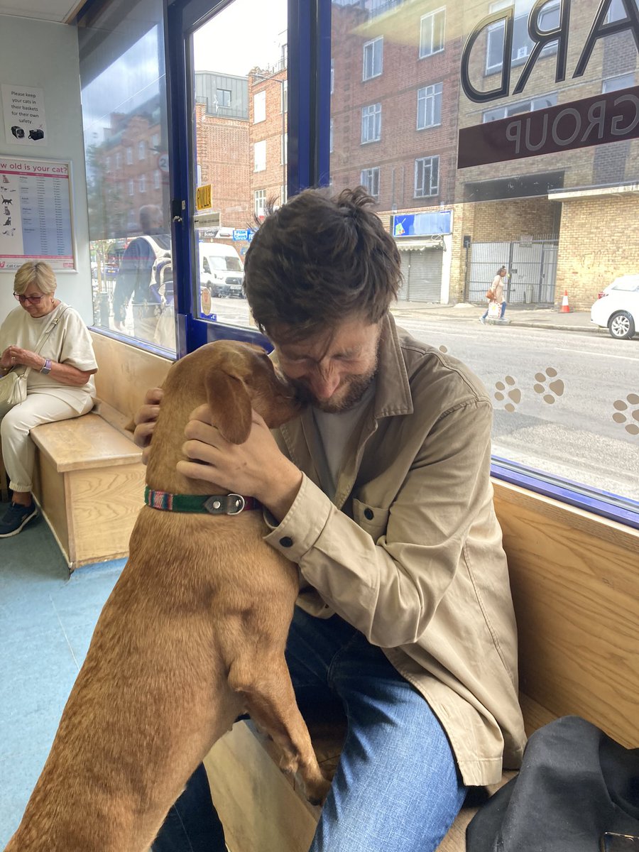 Found!!! 
Reunited with #Zola thanks to chipping, and Alex who picked her up late last night. 
Thank you to everyone who helped particularly <a href="/silvesterldn/">Andy Silvester</a> 
#DogsOnTwitter