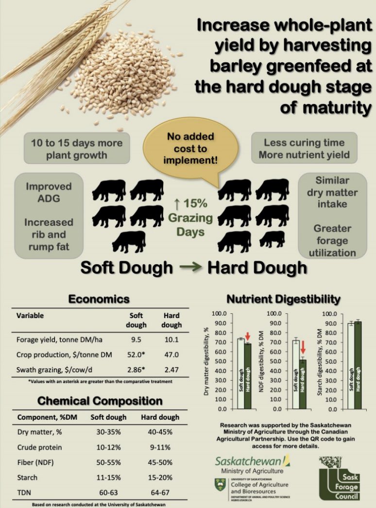 Check out Saskforage.ca for a summary. <a href="/saskforage/">Saskatchewan Forage</a> <a href="/SKAgriculture/">Sask Agriculture</a> <a href="/SaskCattlemens/">Sask Beef</a> <a href="/DrBart_Beef/">Dr Bart Lardner 🇨🇦</a>