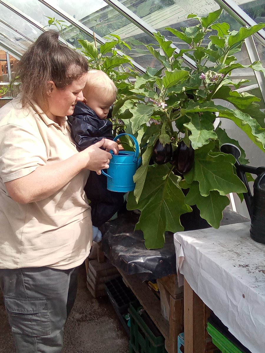 AshbridgeMaxy's tweet photo. Our little Snowdrop gardeners having a wonderful time during our garden themed week.We watered the plants,did some emptying and filling and digging and washed the apples #Weloveourbeautifulnurserygarden #Busybees #Gardenweek #Somuchtoexplore https://t.co/yDzL1s3zUw