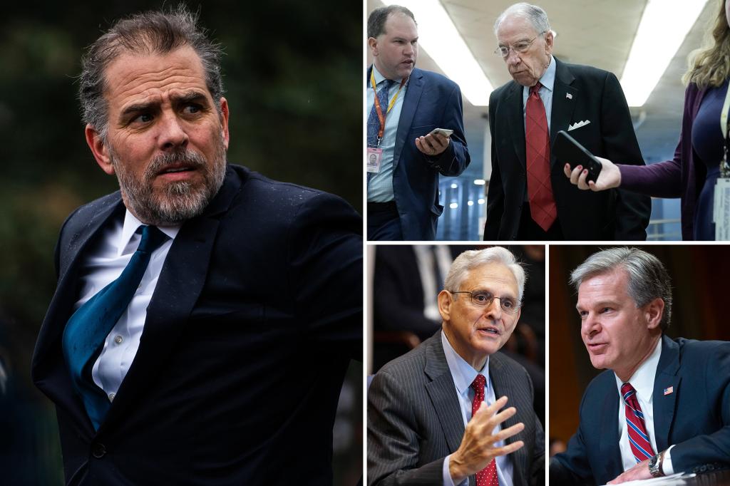 FBI, DOJ accused of burying Hunter Biden dirt: Senator trib.al/xIOntf3