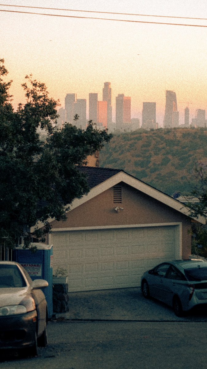 Summer evening walks..