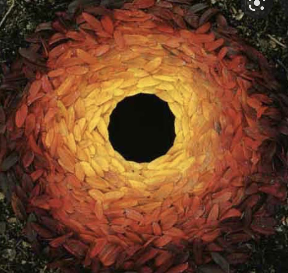 Happy birthday Andy Goldsworthy 