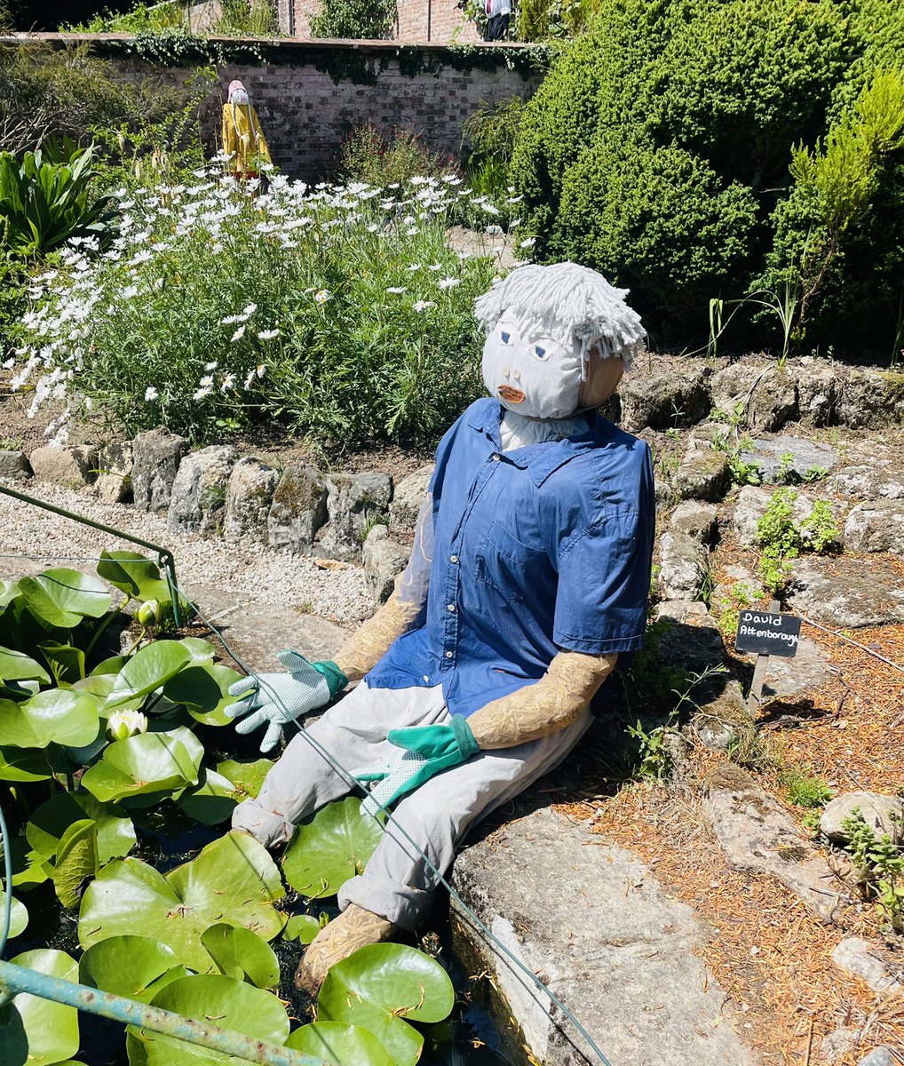 BattyBattsPZ's tweet photo. Brilliant #SummerActivities @TrengwaintonNT👌 #DenBuilding #ActivePlay #ScarecrowFun #NationalTrust https://t.co/UHnC4h4XH1