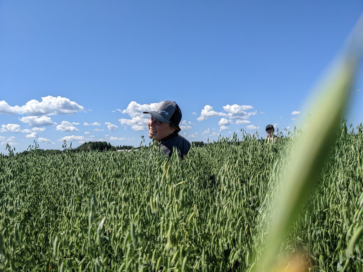 mindyinthedirt's tweet photo. Sent 'our girls' up to @JoshNasielski 's farm-scale #PGR trial in @JasonSeed13 's #oat field this morning.
These are the photo reports I'm receiving π;
#ocrcnl #uofg #researchnorth #temag #northONTag #HopeTheyFindTheWayOut! https://t.co/zCP0ZCndH3