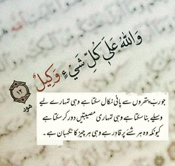 Trust Allah, and nothing can go wrong.❤️💕 #Supreme_Court_Of_Pakistan #پنجاب_تحریک_انصاف_کا #UshnaShah #PervaizElahi #ARYNews