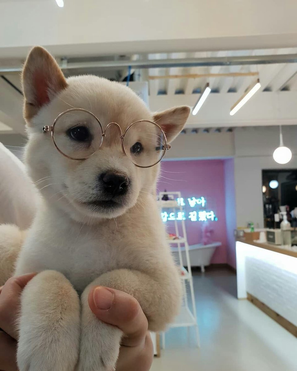 FoodWithDelfs's tweet photo. glasses.
https://t.co/xCBwMvvHub https://t.co/sGmrrcqDBF