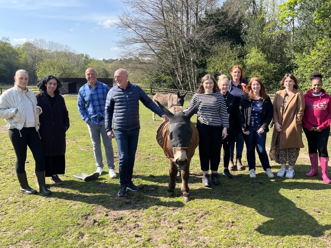 The Donkey Sanctuary (@DonkeySanctuary) / Twitter