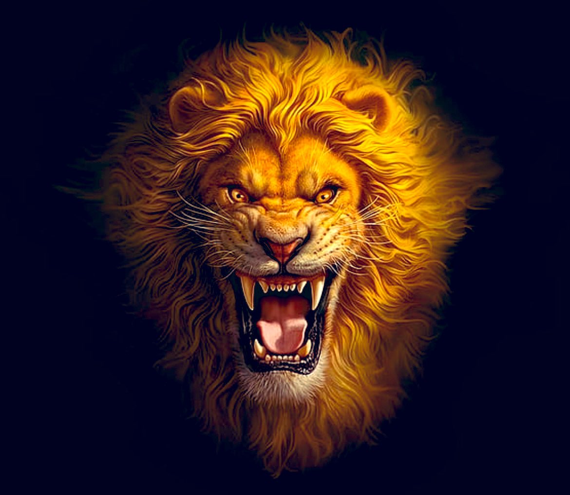 Lion Team