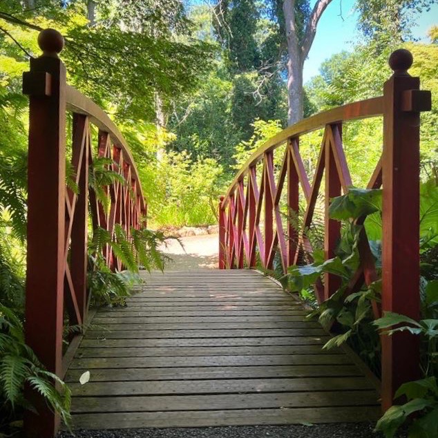 There are so many hidden gems to find at Abbotsbury Subtropical Gardens. You'll find this idyllic little bridge below where our Pergola seat swings. <a href="/TropicalDorset/">Abbotsbury Gardens</a> 

#sittingspiritually #Dorset #visitdorset #jurassiccoast