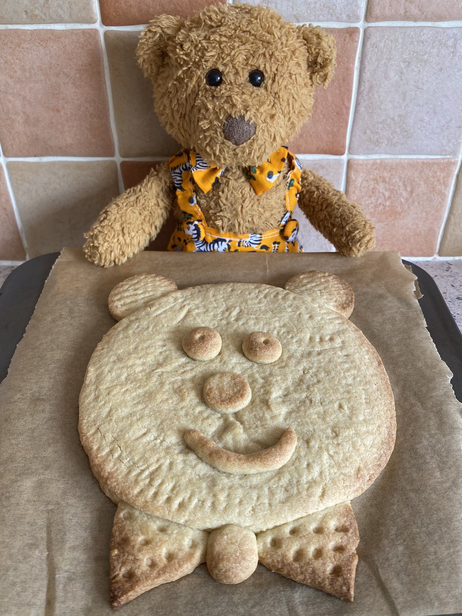 I’ve made a giant Bear Biscuit for us all to share at the #stuffiebakeoff picnic hosted by @kennykoalabear 🐻