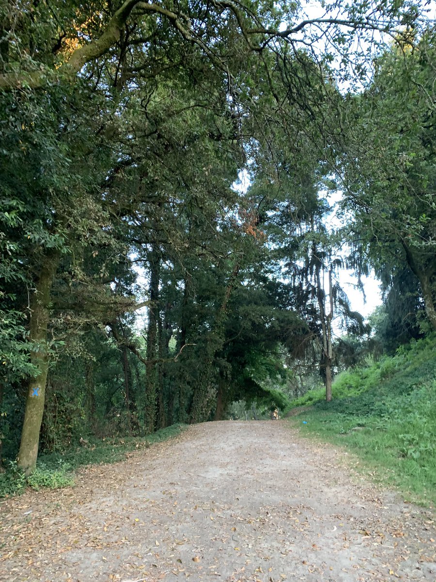 ARDepizando's tweet photo. #naturaleza🍃
#nature #vigo #montedaguia #teis #galicia #galiciacalidade #desconexion https://t.co/Ih3L99VKf2