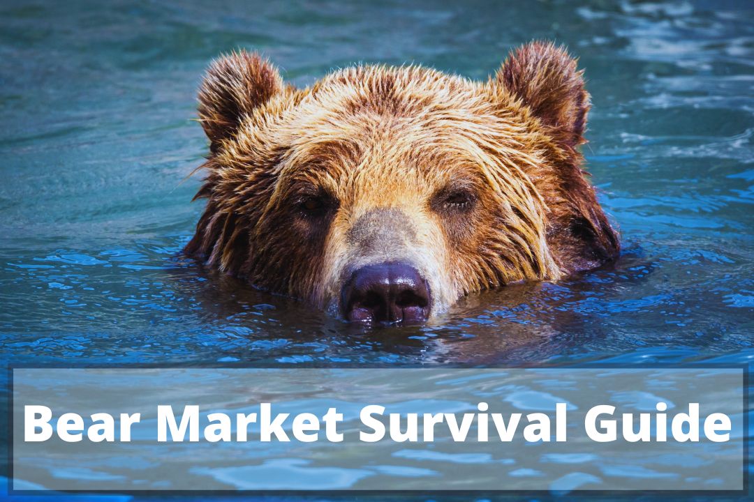 IAGWealth's tweet photo. Worried about a recession? 
You should... It's coming according to the god of financial markets.
The Bear Market Survival Guide gives you 12 time-tested bear market rules to live by that have worked for over 100 years. https://t.co/okEOuvN4hc #bearmarket #investing https://t.co/Ljj1p1UM2L